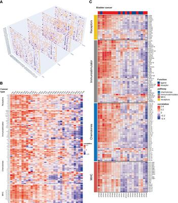 Eph receptor B6 shapes a cold immune microenvironment, inhibiting anti-cancer immunity and immunotherapy response in bladder cancer